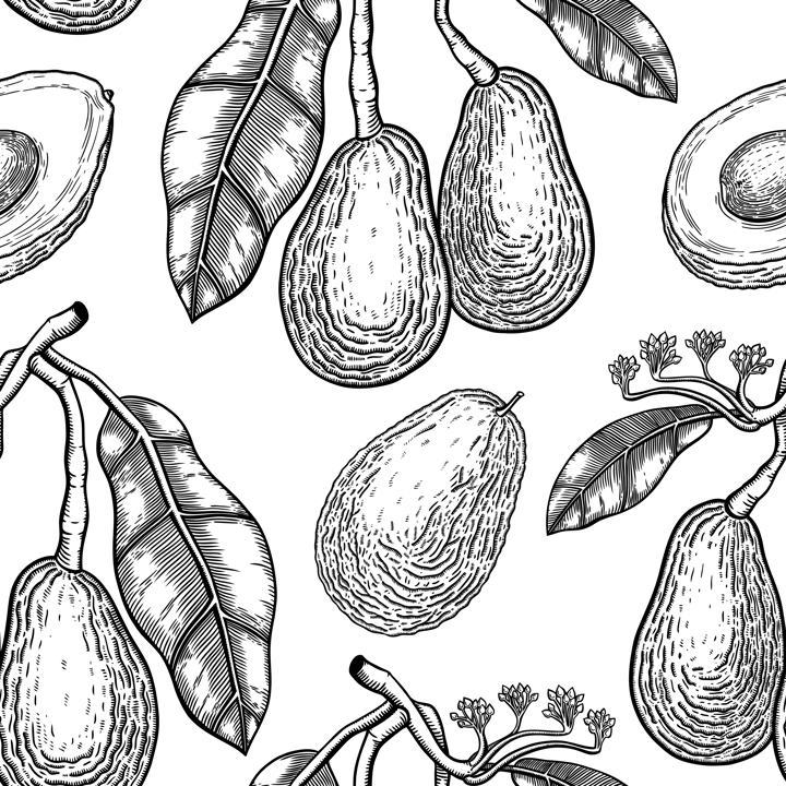 Hand drawn avocado background design. Vintage fruit branches, flowers, whole avocado, cut half piece sketches. Seamless healthy food pattern. Vector plant illustration for textile, packaging, print.